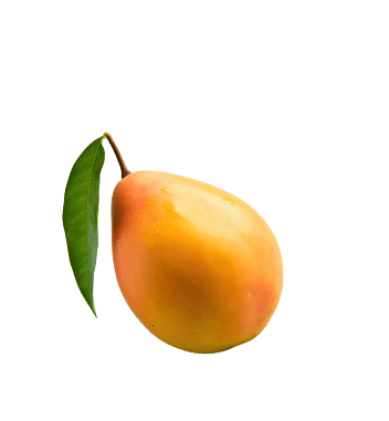 brand-management-image